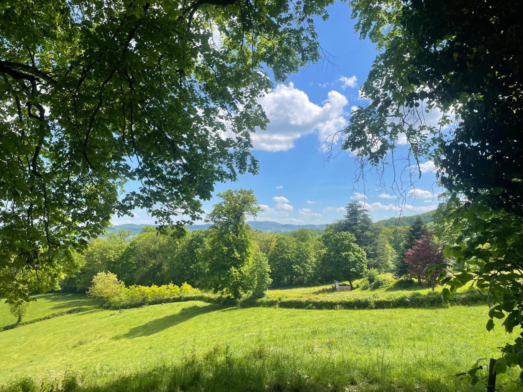 Chateau De Vaux Morvan Etang-sur-Arroux Eksteriør billede