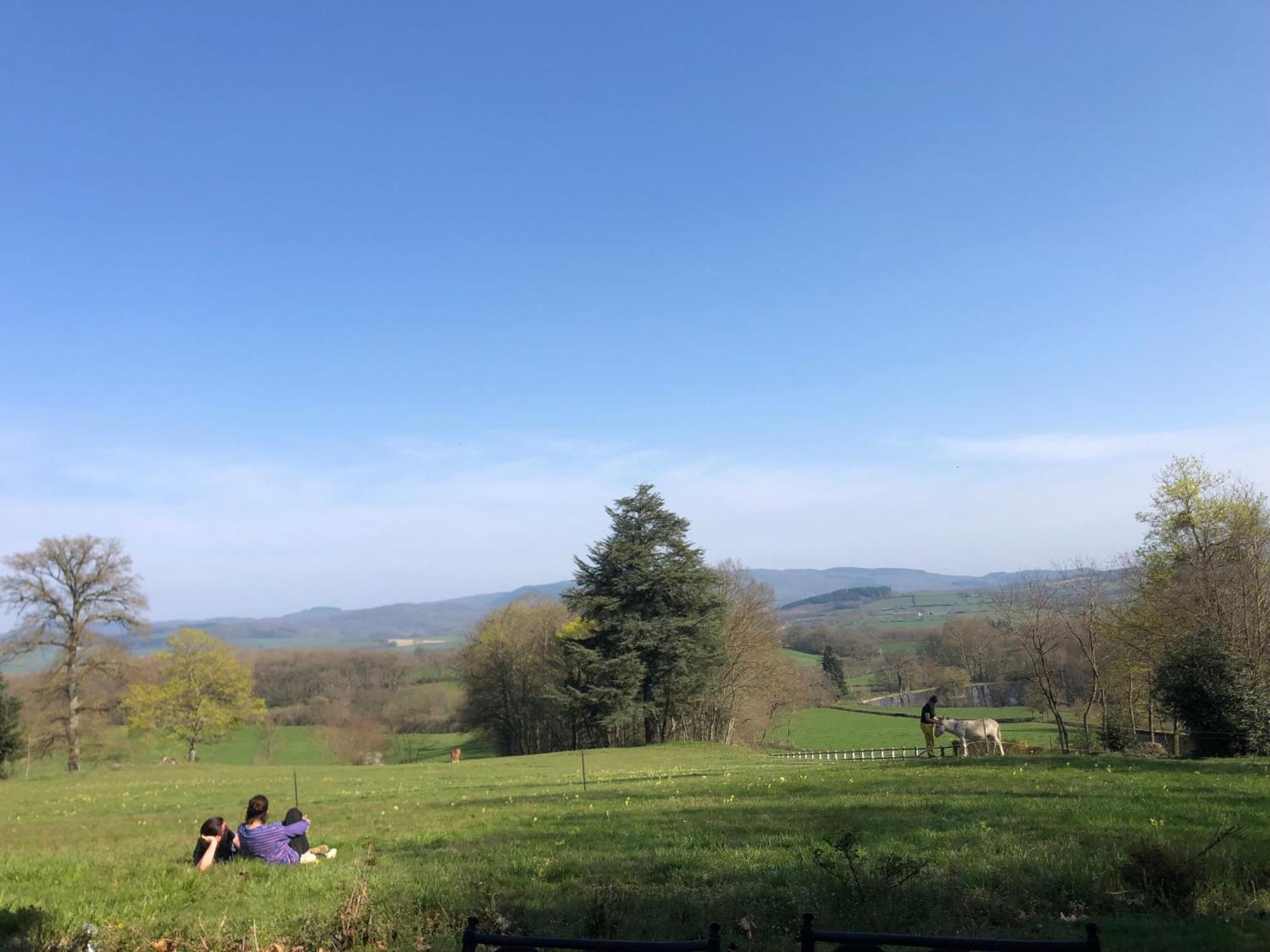 Chateau De Vaux Morvan Etang-sur-Arroux Eksteriør billede