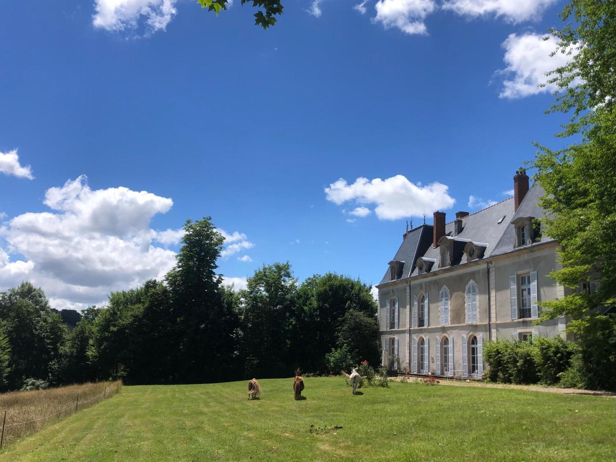 Chateau De Vaux Morvan Etang-sur-Arroux Eksteriør billede