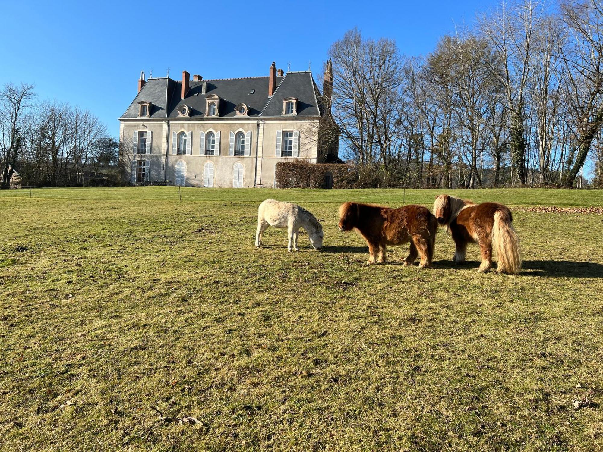 Chateau De Vaux Morvan Etang-sur-Arroux Eksteriør billede