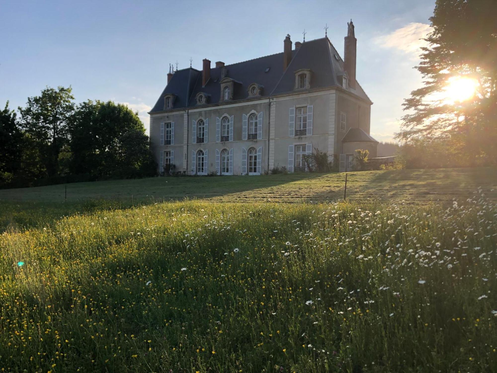 Chateau De Vaux Morvan Etang-sur-Arroux Eksteriør billede