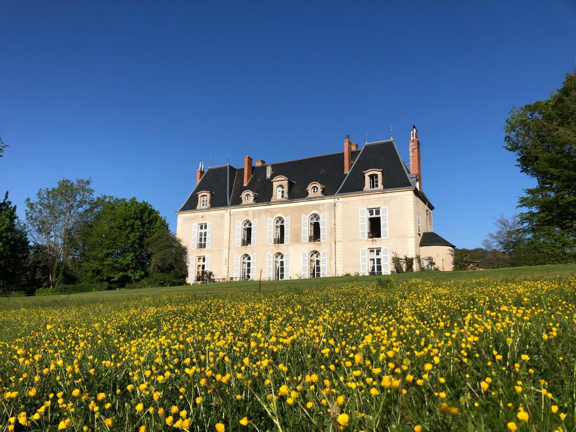 Chateau De Vaux Morvan Etang-sur-Arroux Eksteriør billede